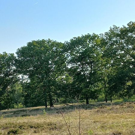 Villa Vogelzang Hattemerbroek Zimmer foto