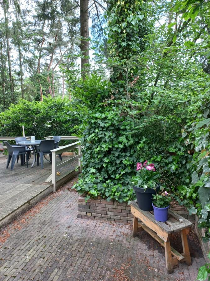 Villa Vogelzang Hattemerbroek Exterior foto